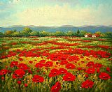 Poppy Canvas Paintings - Poppy field